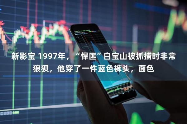 新影宝 1997年，“悍匪”白宝山被抓捕时非常狼狈，他穿了一件蓝色裤头，面色